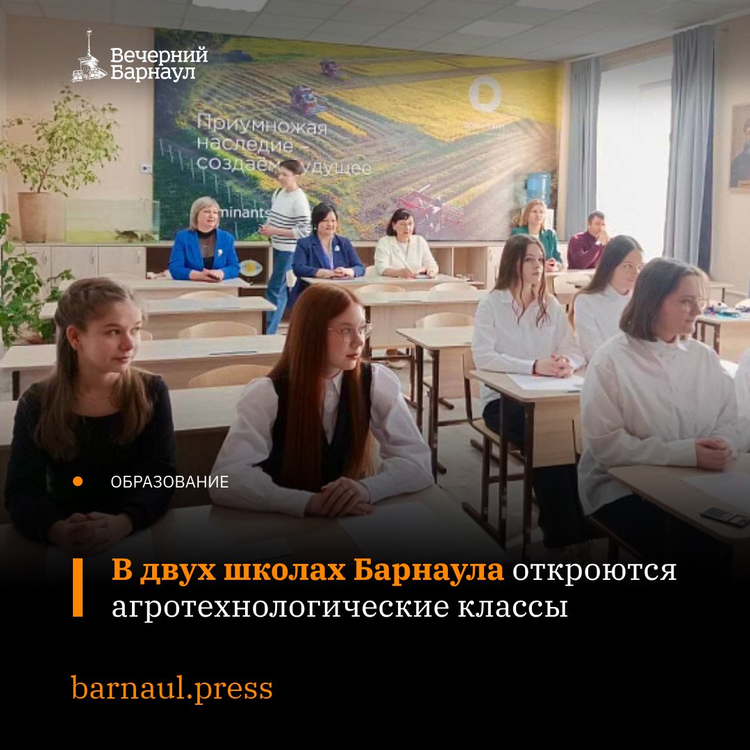 В Алтайском крае увеличивается число агротехнологических классов. В новом учебном году их откроют в барнаульских школах №53 и №110. Эту работу проводят в рамках федерального проекта «Кадры в агропромышленном комплексе». По словам главы региона Виктора Томенко, сельскохозяйственным предприятиям, которые динамично развиваются в крае, постоянно требуются молодые специалисты. Он отметил, что в агротехнологических классах изучают новые подходы и технологии, которые необходимы при работе. Фото: