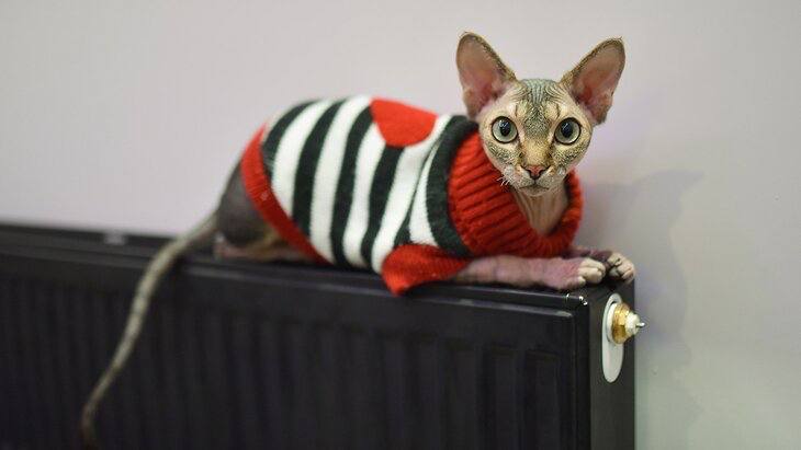 Из за похолодания прибавили отопление в Москве В столице сегодня до 15 градусов в городе скорректировали работу систем отопления повышена температура магистрального теплоносителя в тепловых сетях Минувшая ночь с 22 на 23 декабря стала самой холодной в столице с начала месяца На ВДНХ температура воздуха упала до минус 10 7 градуса а в подмосковном Сергиевом Посаде до минус 12 7 градуса что на 2 градуса холоднее климатической нормы месяца Фото Москва 24