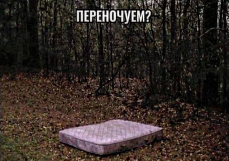 Не знаем зачем вам эта новость но в Ростове вводят новые правила заселения в гостиницы С 1 марта в Ростове вступят в силу обновленные правила заселения в гостиницы сообщила директор департамента экономики города Денис Полюбин Эти изменения направлены на систематизацию гостиничной отрасли и защиту прав туристов Одним из ключевых нововведений станет расширение списка документов которые гости смогут предъявлять при заезде Теперь помимо паспорта гражданина России будут приниматься заграничный паспорт и водительское удостоверение Отказ в размещении при наличии одного из этих документов будет считаться нарушением закона Кроме того существенно изменятся правила бронирования Уходит в прошлое практика негарантированного бронирования когда отели могли отменить бронь в случае неявки гостя По новым правилам гостиницы обязаны сохранять бронь в течение 24 часов с момента планового заезда вплоть до расчетного часа следующего дня и не имеют права отменять ее в этот период enter rostov