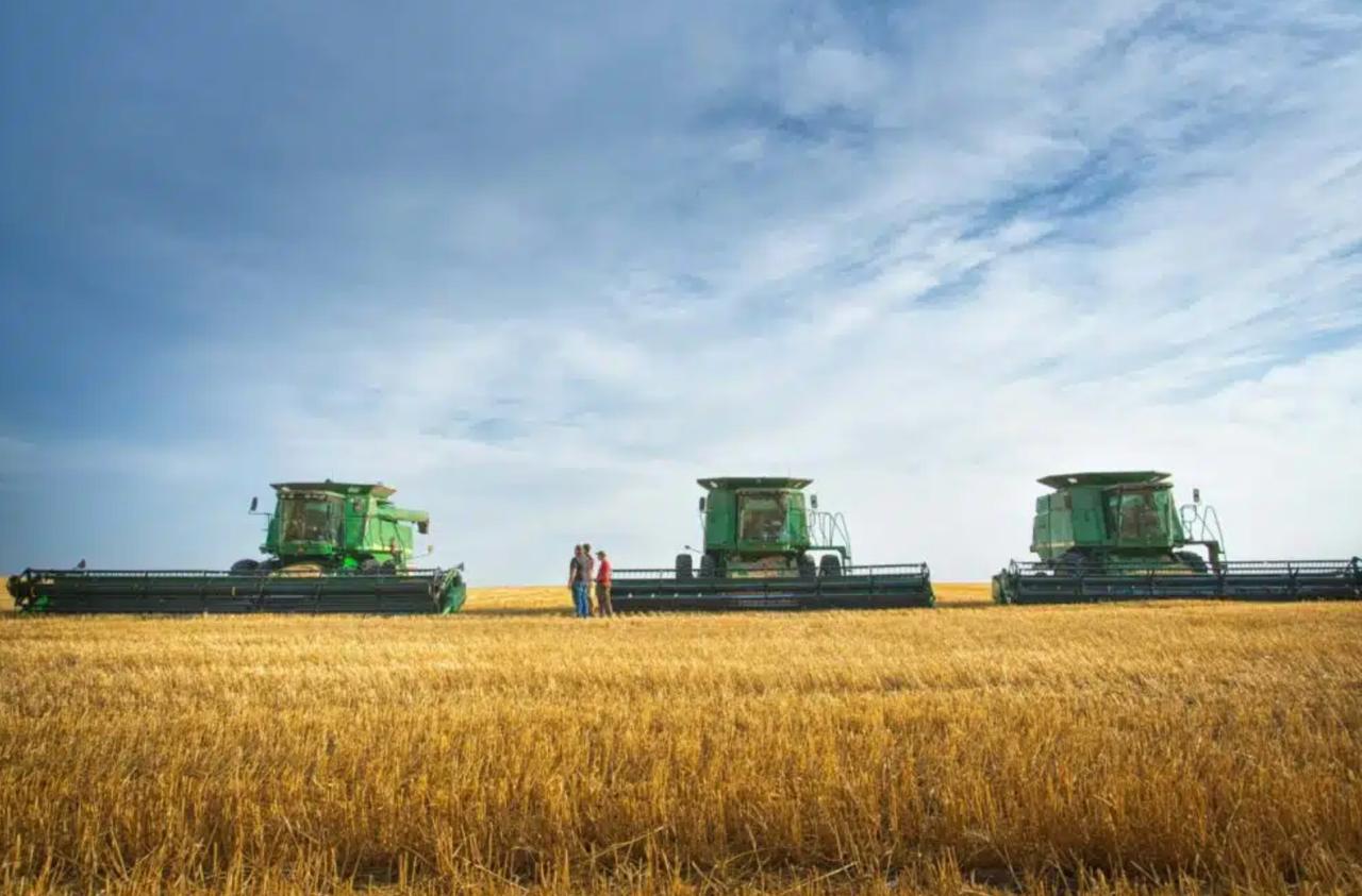 ЕС выделит Узбекистану 7 млн евро на поддержку фермеров Европейский Союз предоставил Узбекистану грант в размере 7 млн евро для поддержки Стратегии развития сельского хозяйства на 2020 2030 годы Об этом сообщил посол ЕС в Узбекистане Тойво Клаар на встрече с министром сельского хозяйства Иброхимом Абдурахмоновым Новый грант часть масштабной поддержки ЕС для сельского хозяйства Узбекистана которая в общей сложности составит 20 млн евро Ранее в 2023 году ЕС выделил 6 млн евро оставшиеся 7 млн планируется предоставить в 2026 году при условии успешного выполнения реформ и достижения согласованных целей Экономическое землепользование и управления системой пищевой безопасности оба эти аспекта крайне важны для привлечения инвестиций обеспечения устойчивости и повышения конкурентоспособности экспорта особенно в контексте присоединения к ВТО посол ЕС в Узбекистане Тойво Клаар Узбекистан ЕС Экономика centralasianow Подписаться на канал