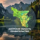 Амурская область | Правительство