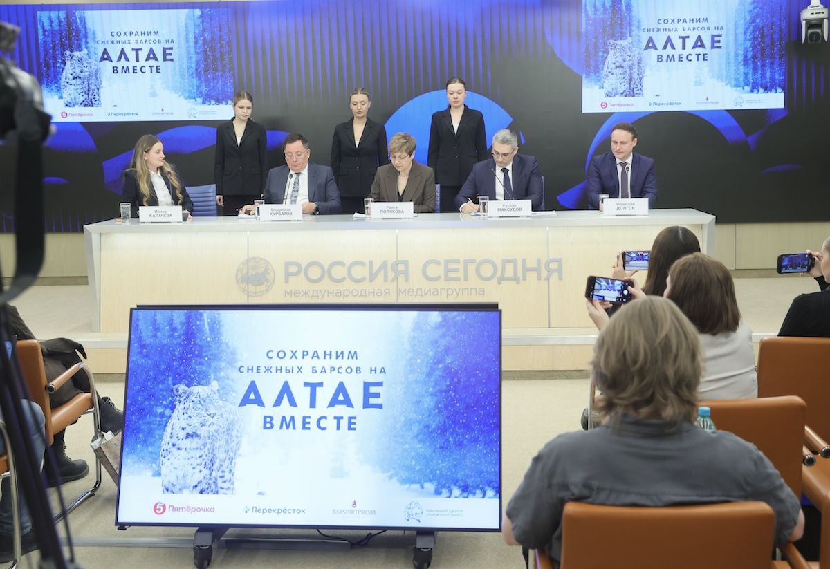 Торговые сети объединились для спасения снежного барса Пятёрочка Перекрёсток и Татспиртпром подписали соглашение о сотрудничестве с алтайским Центром сохранения биологического разнообразия Снежный барс В рамках экологического проекта они намерены содействовать сохранению и увеличению популяции ирбиса одного из самых редких животных в России Партнёры планируют улучшить систему наблюдения за краснокнижными хищниками минимизировать влияние человека на их среду обитания поддержать научные исследования и повысить экологическую грамотность населения Фото пресс служба торговой сети Пятёрочка snobru