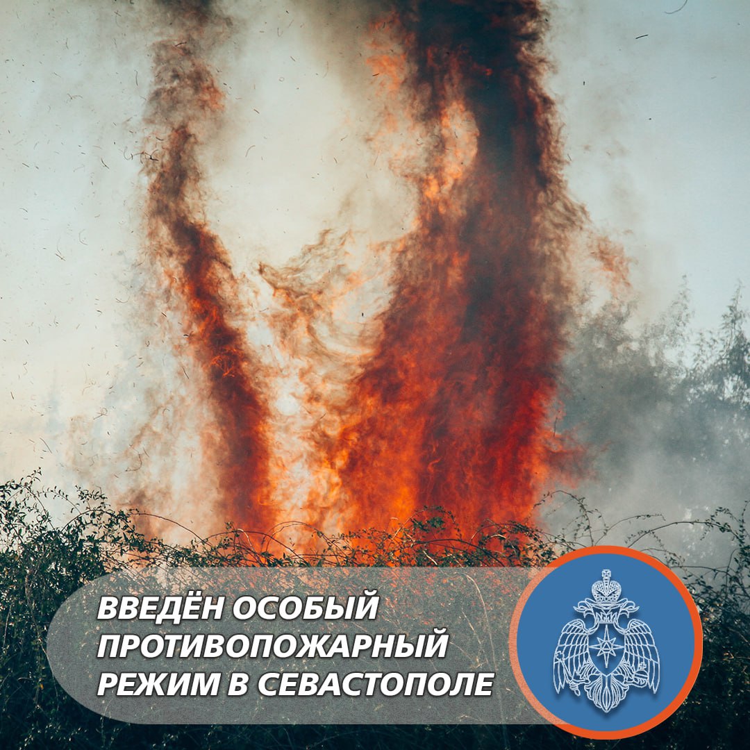 В Севастополе введен особый противопожарный режим. Об этом сообщили в МЧС города. В лесах увеличат число патрулей, запрещено разводить костры, сжигать мусор и выжигать траву на участках.