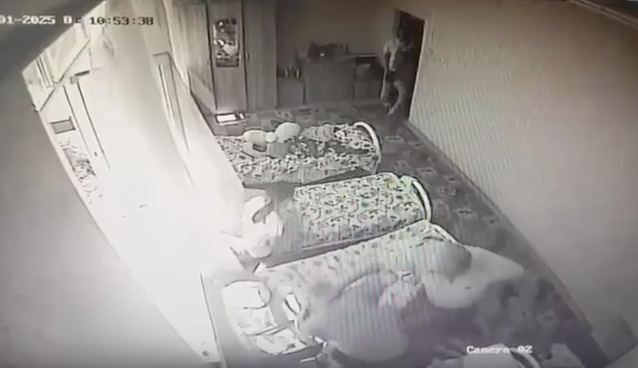 Вахтёра ставропольского детдома уволили после жестокого обращения с воспитанницей и котёнком Информация об инциденте в детском доме станицы Григорополисской появилась в социальных сетях. 31 мая подростки принесли котёнка в детдом, купили молоко и еду, чтобы накормить малыша. По словам работников учреждения, 1 июня вахтёр задушил животное и избил 18-летнюю воспитанницу. 4 июня руководитель детдома и вахтёр ушли на больничный. В тот же день пострадавшая девушка самостоятельно обратилась в полицию с заявлением о произошедшем. В краевом Минобразования сообщили, что информация о случившемся поступила в ведомство только 9 июня. В настоящее время министерство проводит внеплановую проверку детского дома. «Руководство детского дома приняло меры дисциплинарного характера к работнику, допустившему нарушение трудового законодательства, в том числе увольнение с занимаемой должности. Дополнительно сообщаем, что в отношении данного лица сотрудниками правоохранительных органов проводятся следственные мероприятия», — сообщили в ведомстве. По итогам проверки к администрации детдома будут приняты меры дисциплинарной ответственности. Фото: