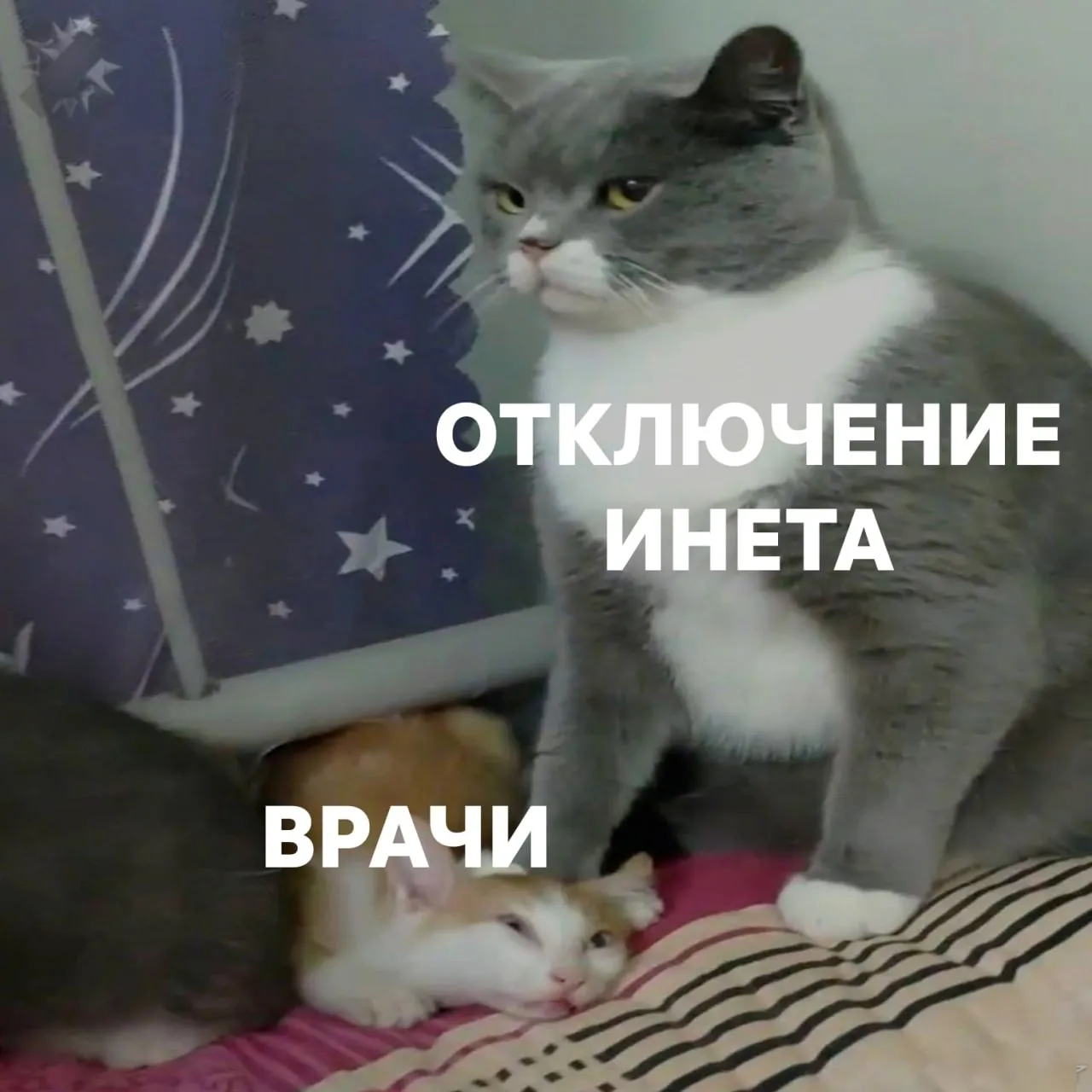 Отключения мобильного интернета мешают работе каждого второго врача в России Медики не могут получить доступ к справочникам анализам и базам данных В некоторых больницах нет проводного интернета и при отключении сети работа останавливается гуглить диагнозы нельзя в это время зато все в безопасности НМШ