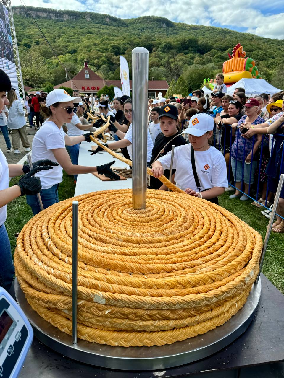 Самую длинную сырную косичку в РФ сплели в Адыгее.  Рекорд поставили на Фестивале адыгейского сыра. Длина сыра составила 189 метров, вес — 195,8 кг.   Чтобы его изготовить, использовали 2,5 тонны молока. Над сыром целые сутки трудились 12 человек.   Это уже не косичка, а косище!   Попробовали бы?    /    Кубань 24