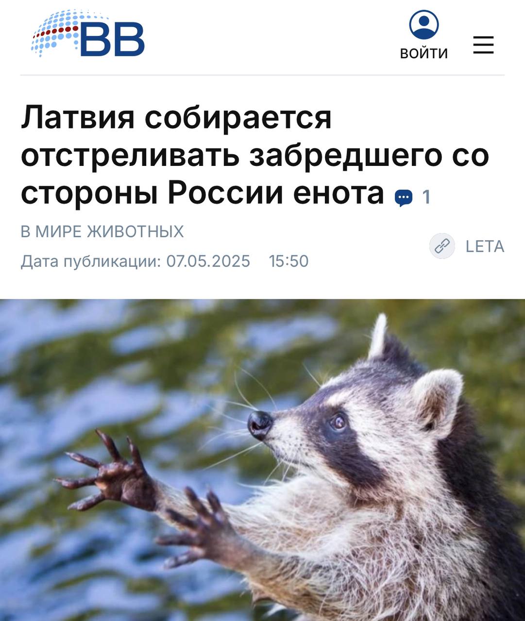 Власти Латвии объявили охоту на енота из России, пишут местные СМИ. Малыша заметили в Латгалии у границы с РФ. Его планируют застрелить из-за "угрозы природному разнообразию республики".