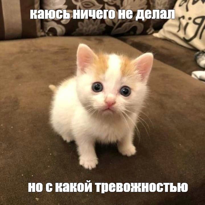 Учёные нашли быстрый способ перестать откладывать дела и взять прокрастинацию под контроль Всё что нужно сделать это ответить на 7 коротких вопросов 1 Какую задачу вы сейчас откладываете 2 Кратко опишите задачу 3 Что в ней кажется неприятным или отталкивающим 4 Каковы преимущества выполнения этой задачи 5 Задачи можно разбить на подзадачи назовите простую подзадачу которую вы можете выполнить для этой задачи 6 Сколько времени в минутах вам потребуется на выполнение этой подзадачи 7 Придумайте себе небольшую награду за выполнение подзадачи В результате проверки метода вероятность выполнить задачу значительно выросла У участников повысилась мотивация и улучшилось настроение Они сильнее верили что сделают задачу а также ощущали пользу выполнения более ясно Тоже попробуйте