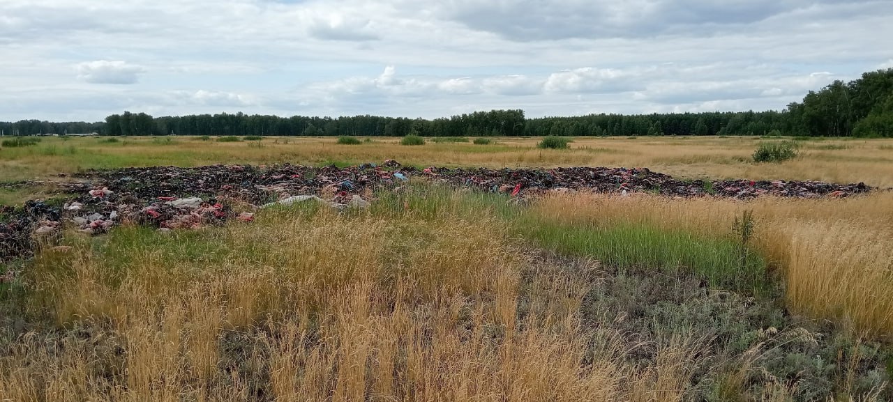 Под Омском обнаружили огромную свалку сгнивших овощей. В одном из омских пабликов рассказали о новой свалке: где-то на территории Омского сельского поселения «красуется» на лугу груда гнилых овощей. Автор фото, просто поехавший по грибы, называет свалку огромной. Мы не видим причин, чтобы с ним не согласиться, но многие комментаторы настроены скептично. Свалок много, говорят они. Всем плевать – так они считают. Под жалобой уже отметилась администрация Омского района, обещающая провести проверку. Возможно, с вот этой свалкой что-то сделают. Конечно, в регионе хватает куч мусора – больших и очень больших, на лугах, в лесах и на кладбищах. Иногда они горят и ужасно пахнут. Но проблему решают, и когда-нибудь у нас будет прекрасная экология. Ведь будет же, правда? Фото: Проект "ДЫШИ!Омск" Написать в редакцию можно здесь.