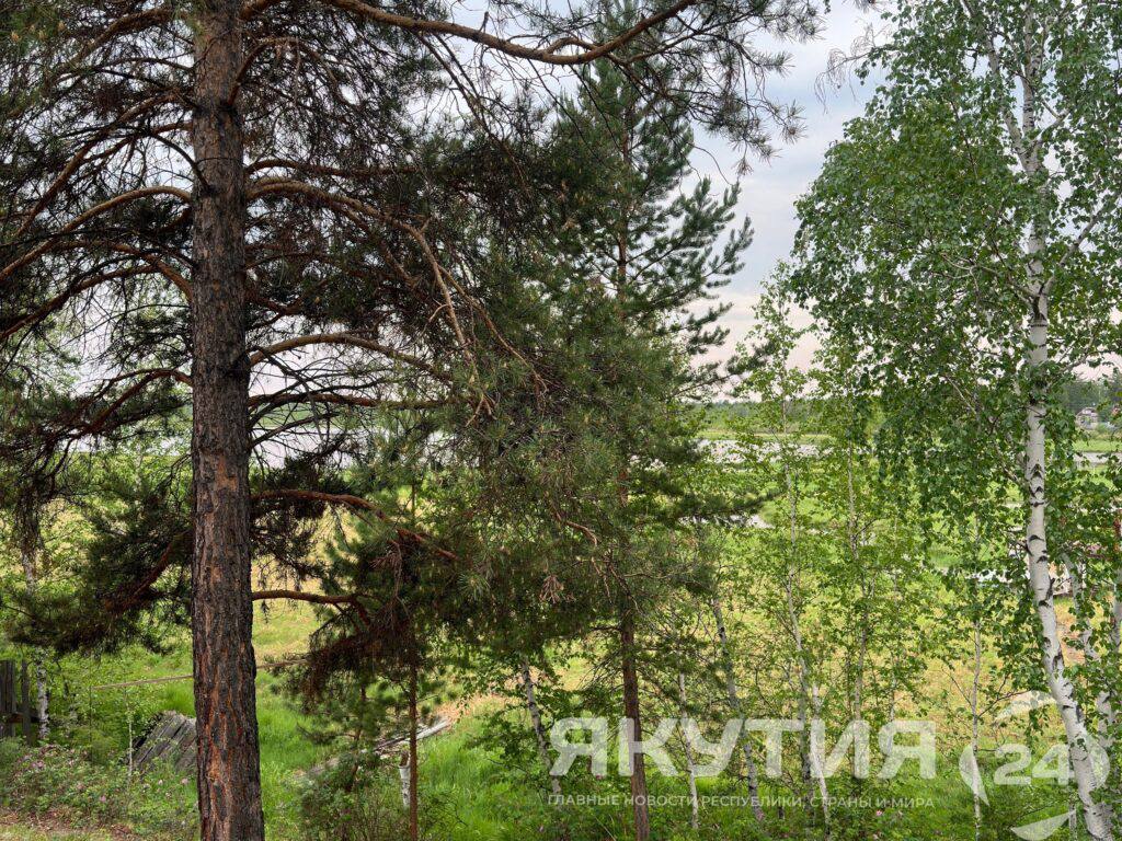Около 700 случаев укусов клещами зарегистрировано в Якутии  Всего 684 случая укусов клещами зарегистрировали по состоянию на 7 августа текущего года в 19 районах и Якутске.   Из них 25 случаев являются завозными, поступившими из Амурской, Иркутской, Тульской, Запорожской, Калининградской и Новосибирской областей, а также из Хабаровского, Приморского, Ставропольского, Забайкальского и Красноярского краев.  Подробнее читайте по ссылке    Фото: Майя Дмитриева / «Якутия 24»