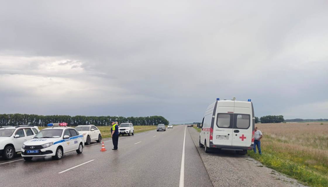 Шесть человек погибли в аварии на Алтае Автомобили Kia Forte и Honda Odyssey столкнулись в Шипуновском районе Алтайского края. Среди погибших оказалось трое детей, сообщили в региональной прокуратуре. Общее количество погибших пока устанавливается, отметили в пресс-службе ГУ МВД по региону. По данным «Интерфакса», погибли шесть человек, ещё четверо пострадали. Подписаться Прислать новость Помочь бустами