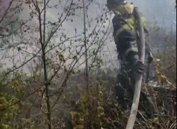 В Братске ликвидирован пожар в садоводстве "Верховина" Огонь уничтожил девять построек, причиной стало небрежное сжигание мусора ВИДЕО Читать подробнее на сайте...