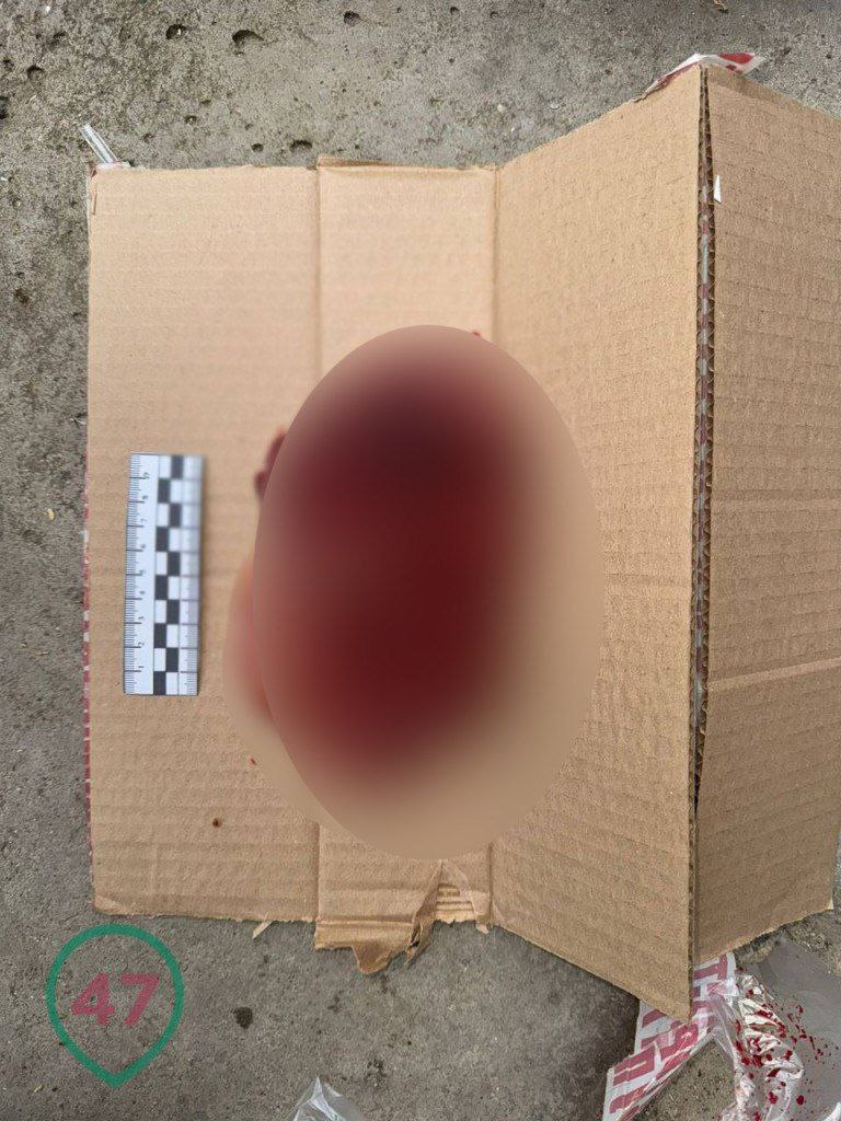 Во Всеволожске в подъезде нашли новорождённую в коробке Мать задержана 4 сентября во Всеволожске ул Ленинградская у мусоропровода обнаружили девочку родившуюся примерно на 34 35 й неделе Пуповина была оторвана и не перевязана Ребёнка срочно доставили в роддом переохлаждение реанимация угрозы жизни нет Предполагаемая мать 38 летняя местная жительница задержана сама в реанимации с внутренним кровотечением и в шоке пояснить действия не может Отец разыскивается Возбуждено дело по ст 106 УК РФ покушение на убийство новорождённого матерью Городская прокуратура контролирует ход расследования По питерски без паники ребёнку тепло и врачи факты следствию