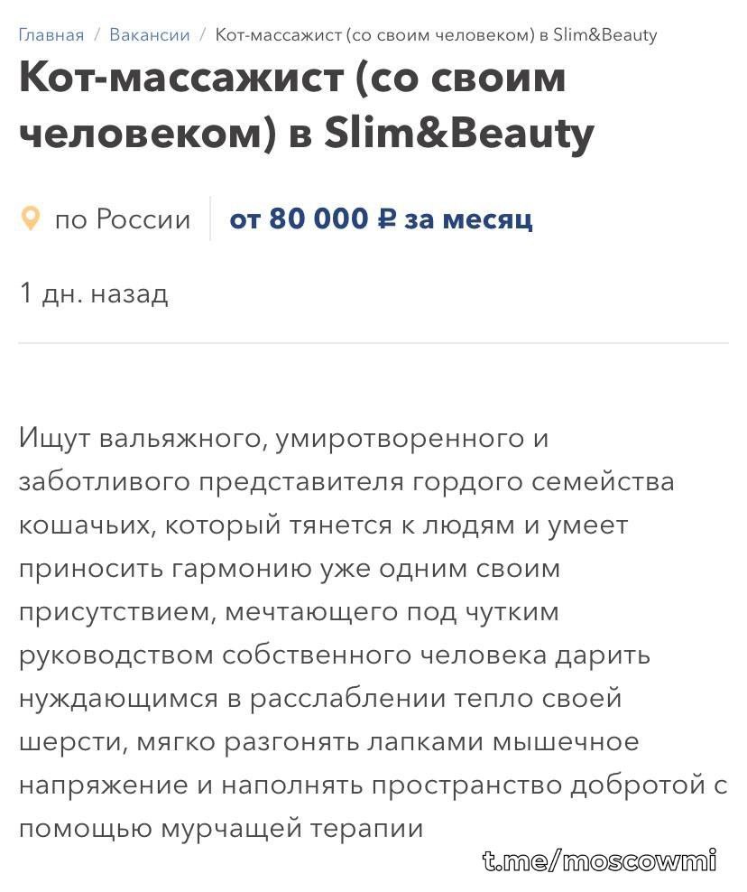 Кота-массажиста с зарплатой 80 тысяч рублей ищут в Москве. Хвостатый мастер должен привносить гармонию, выполнять лапочный массаж спины и повышать мурчанием уровень счастья. Пушистому работнику обещают полный соцпакет с больничными, прививками, отпусками, личную лежанку и бесконечный запас вкусняшек.