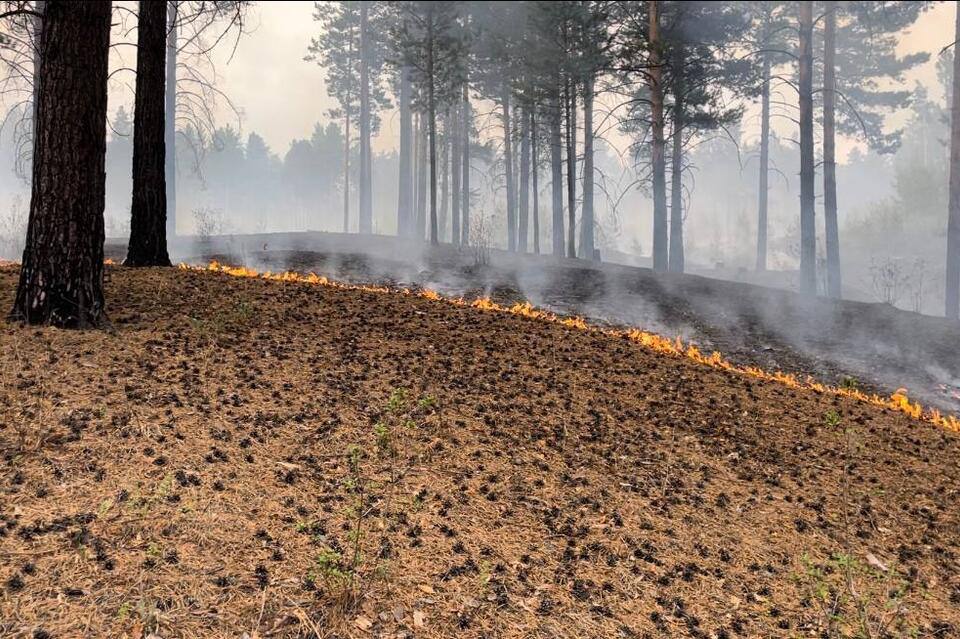 Министр природных ресурсов Забайкальского края Павел Волжин рассказал почему пожарным невыгодно поджигать леса Подробности читайте   ЗДЕСЬ ZAB RU