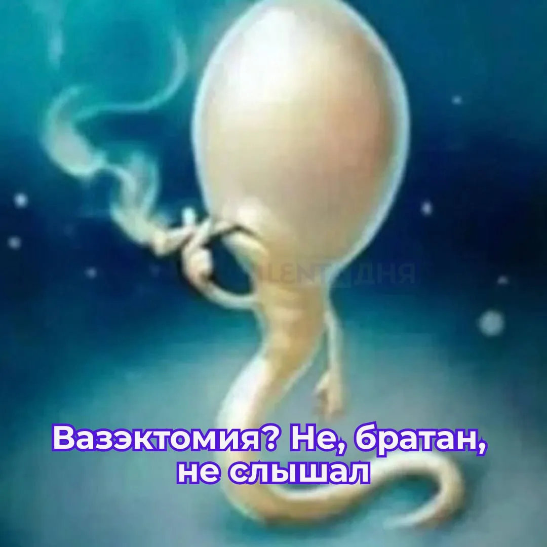 Мужчина сделал вазэктомию и зачал ребёнка Родив двоих детей супруги из Казани решили что семья построена Поэтому муж захотел сделать вазэктомию которая считается почти на 100 эффективным способом контрацепции После операции мужчина сдал анализы Они показали что зачатие ребёнка крайне маловероятно Но затем случился киндер сюрприз жена узнала о беременности Семья не думала об аборте и потребовала от клиники объяснить случившееся Врачи развели руками и списали всё на чудо Вопрос о возврате денег за операцию даже не поднимался В итоге супруги решили что будет справедливо если клиника возьмёт расходы на ребёнка на себя Они потребовали от неё 15 миллионов рублей Ну мужик даёт Подпишись на Ленту дня в MAX Участвуй в розыгрыше