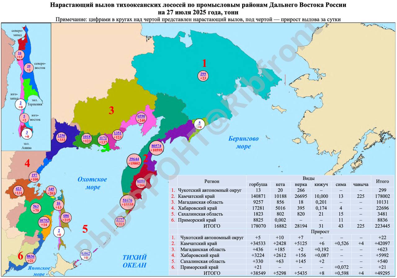 Дальневосточные рыбаки добыли более 223 тысяч тонн лососей На 27 июля общий вылов тихоокеанских лососей составил 223 445 т, сообщает ТГ-канал РЫБФРОНТ со ссылкой на данные ВНИРО. Тройку лидеров возглавляет Камчатский край с выловом 177 тыс т. На втором и третьем месте рыбаки Хабаровского края и Магаданской области с выловом 22,6 тыс т и 10,1 тыс т соответственно. В Приморском крае – 8,8 тыс т, на Сахалине 3,4 тыс т, на Чукотке – 299 т. Основу вылова составляет горбуша, нерка и кета – 178 тыс т, 28,1 тыс т и 16,8 тыс т соответственно. Добавим, что наука прогнозирует вылов в 2025 году на уровне 312 тыс т, из которых Камчатский край – 200 тыс т, Сахалинская область – 62 тыс т, Хабаровский край – 36 тыс т, Магаданская область, Чукотский АО и Приморский край – 14 тыс т. Вылов 27.07 / общий прогноз: • горбуша 178 тыс т/ 189,1 тыс т • нерка 28,1 тыс т/ 31,3 тыс т • кета 16,8 т/ 82,2 тыс т • чавыча 225 т/ 560 т • сима 43 т/ 188 т • кижуч 31 т/ 8,2 тыс т