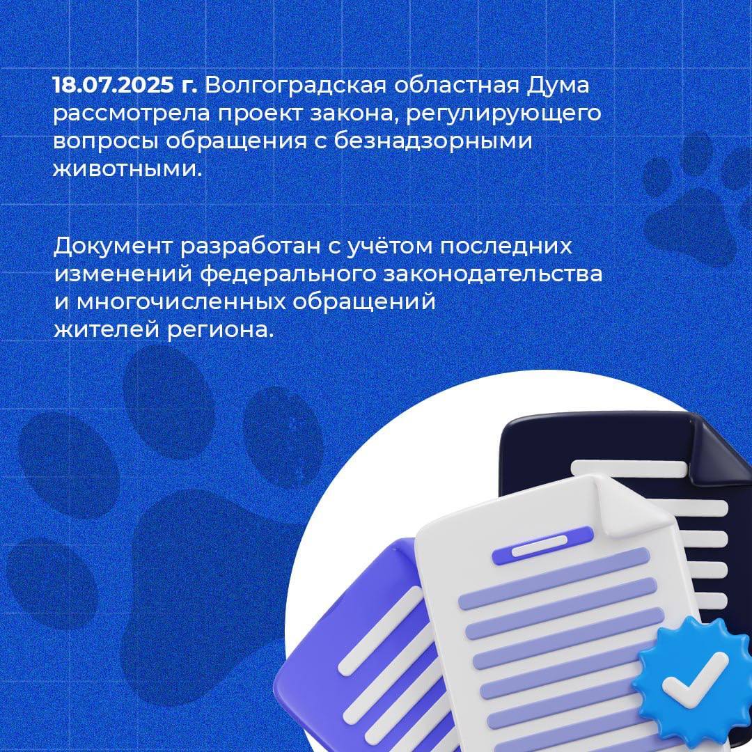 Облдума рассмотрела проект нового закона об обращении с безнадзорными животными Документ разработан в связи с последними изменениями федерального законодательства и закрепляет стандарты гуманного обращения с животными без владельцев, а также направлен на обеспечение защиты граждан. Подробности