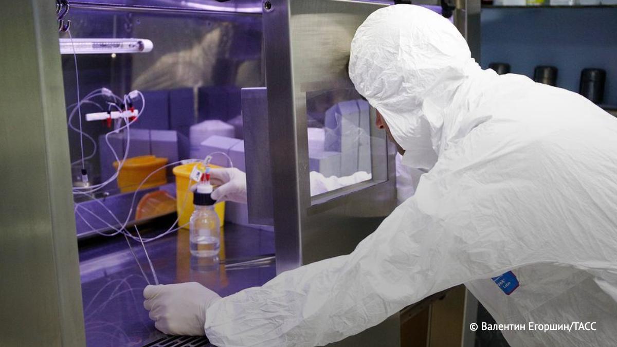 Синтезированы новые обезболивающие вещества с низкой токсичностью. Они могут стать основой для безопасных анальгетиков будущего, сообщили ТАСС в пресс-службе ПНИПУ. / Наука