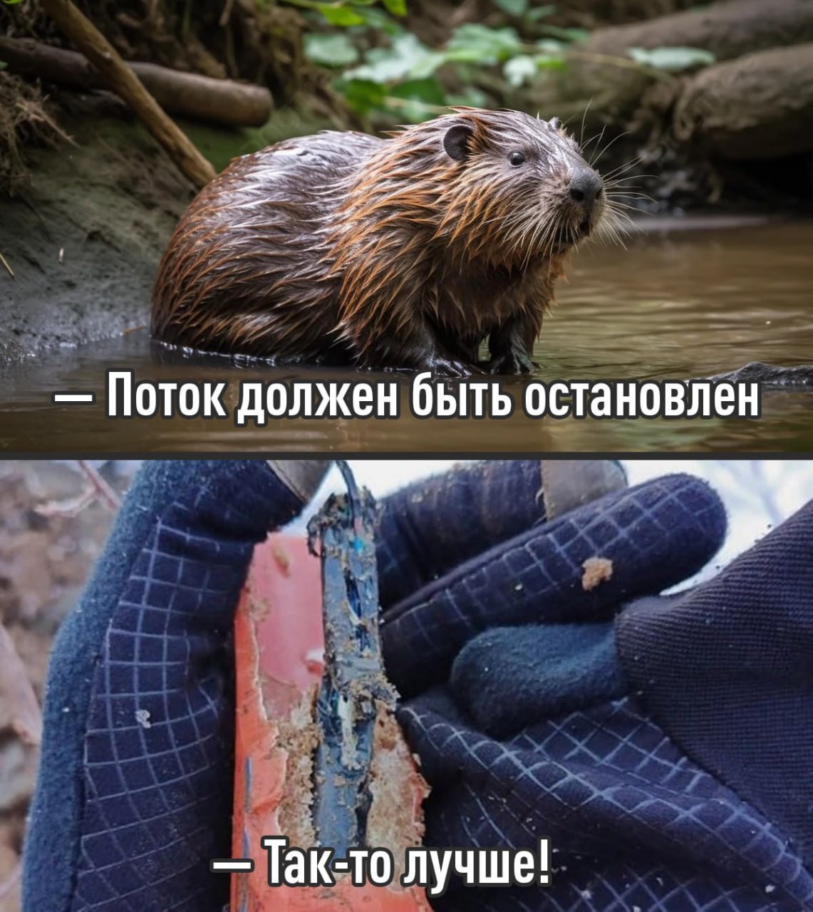 Бобры едва не оставили без интернета 13 тысяч жителей Архангельской области пушистые диверсанты перегрызли магистральный кабель связи в овраге у ручья Повреждение нашли не сразу место оказалось труднодоступным под землёй Причину обрыва пришлось буквально выслеживать после чего участок восстановили проложив десятки метров нового кабеля Пока шли работы связь держалась за счёт резервного канала Мораль простая технологии технологиями но против бобров мы всё ещё бессильны exploitex