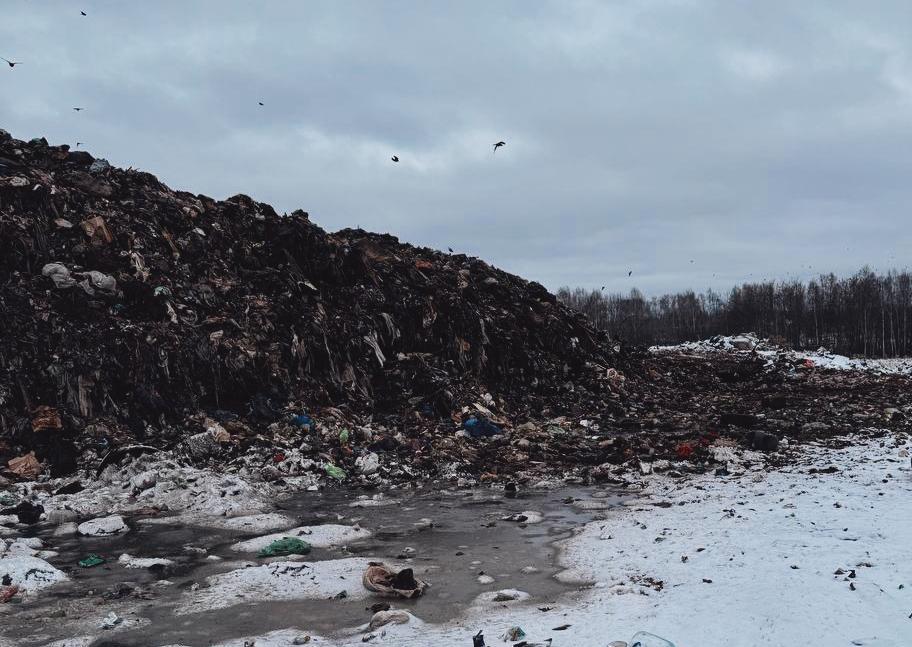 Росприроднадзор нашёл угрозу для людей на мусорном полигоне под Кстовом В Кстовском районе у села Большое Мокрое прошла внеплановая проверка Росприроднадзора Специалисты выявили массовые нарушения на полигоне который эксплуатирует ООО Реал Кстово По итогам проверки сделан вывод что ситуация создаёт реальную угрозу здоровью людей и окружающей среде На объекте найдены как документационные несоответствия так и грубые нарушения на местности Полигон переполнен на его территории размещены отходы запрещённые к захоронению а также отсутствуют необходимые ограждения Это далеко не полный список претензий В отношении должностных лиц будут применены меры ответственности Региональному оператору выдано предписание об обязательном устранении всех выявленных нарушений в установленные сроки mynnovgorod