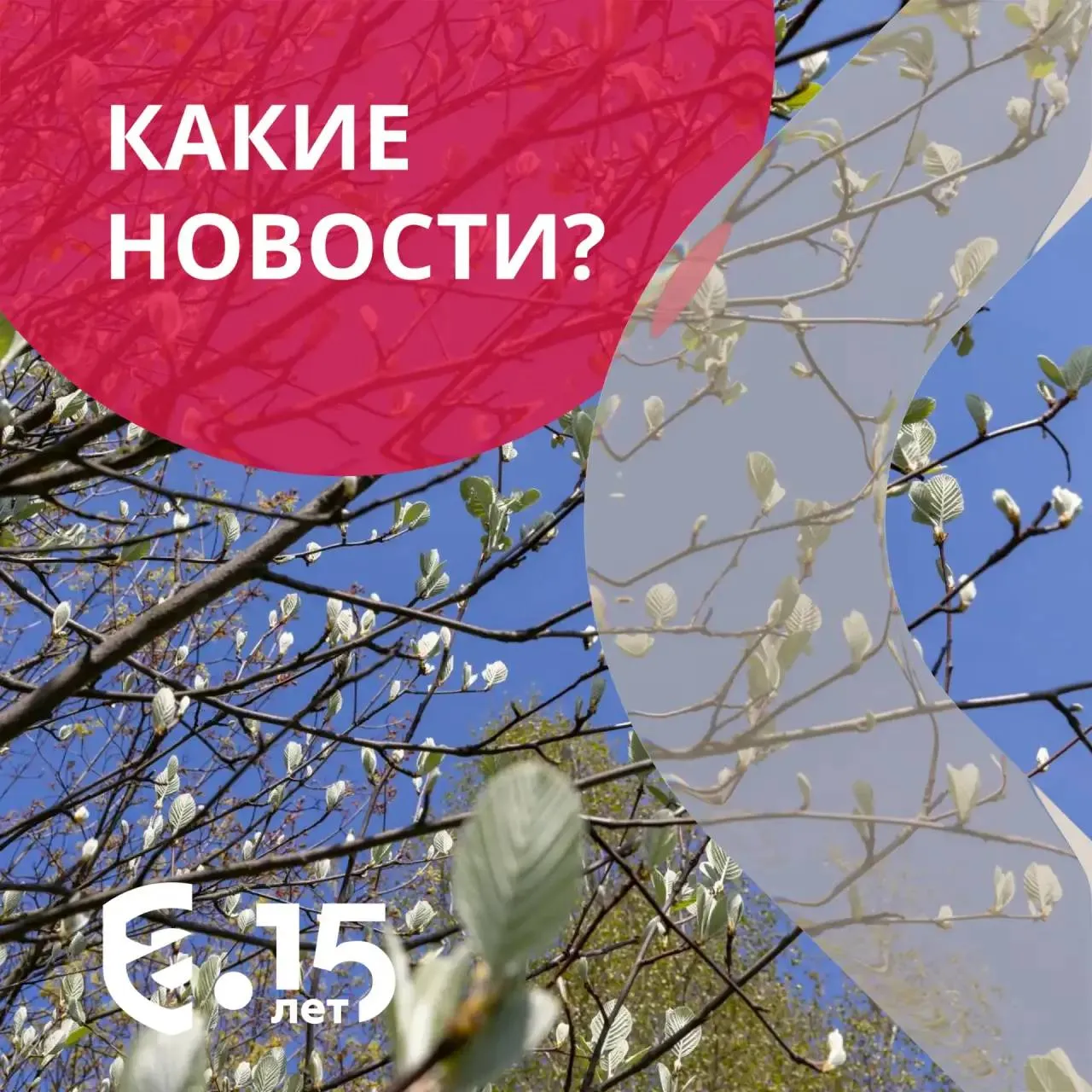 Какие новости Для отечественных производителей игр и игрушек разработали новые меры поддержки Ранее мы рассказывали как защищаем отечественных производителей и импортеров детских товаров соблюдающих требования законодательства от недобросовестной конкуренции За первый квартал ввоз одежды из Китая в Россию вырос на 60 Доля заказов продукции из Китая также выросла с 20 5 в 2025 году до 24 8 в этом году Глава Минэкономразвития указал маркетплейсам на недопустимость преференций импорту за счет скидок Нужно обеспечить честную конкуренцию на отечественном рынке e commerce по скидкам для российских и зарубежных продавцов На форуме Путешествуй обсудят развитие туристической отрасли Росаккредитация примет участие в деловой программе форума Вспомним как это было в прошлом году Подписывайтесь на наш канал в Max
