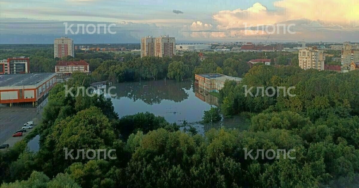 Московский проспект затопило так что пришлось менять маршрут троллейбусов и искать стадион фото Московский проспект в районе лицея 23 подтопило так что там не могут проехать троллейбусы Об этом сообщили в Калининград ГорТрансе в понедельник 25 августа Троллейбусы маршрута 7 временно следуют с конечной станции на ул Горького до Южного вокзала по Ленинскому проспекту Полностью ушёл под воду стадион Красная звезда По словам очевидцев вода начала прибывать на поле примерно в 21 00 и пока не начала спадать