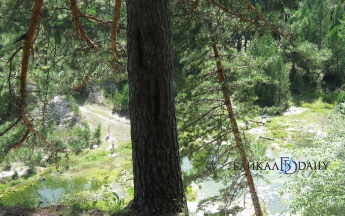 Две девушки заблудились на пике Любви в Бурятии Туристки приехали на отдых в Тункинский район и решили совершить восхождение на популярный пик Любви При этом не взяли никакого снаряжения в том числе фонарей Когда стемнело спуск стал затруднительным и травмоопасным к тому же девушки потеряли дорогу Вызванные спасатели оперативно прибыли на место и вывели девушек в Аршан