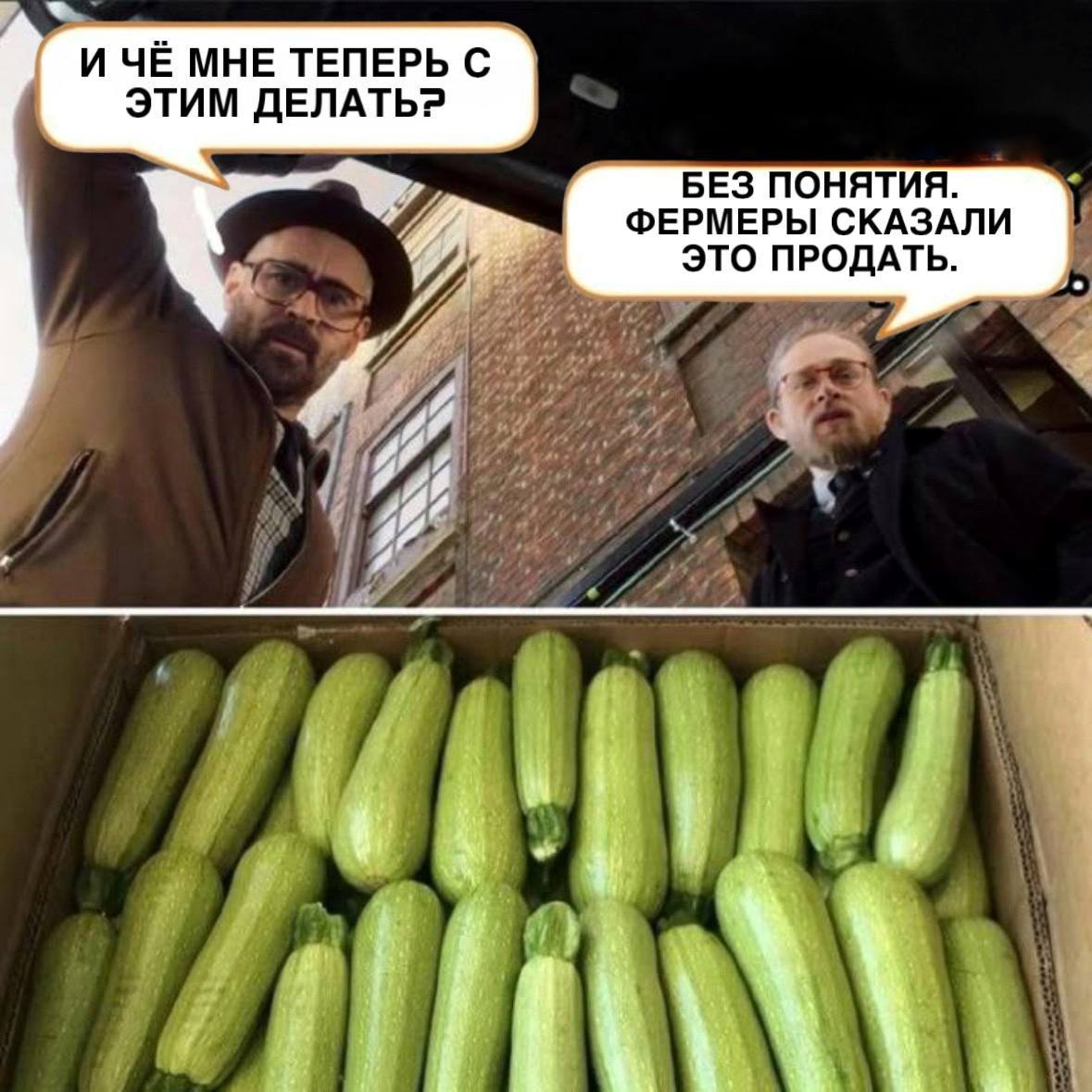 «Кабачковая мафия» в Свердловской области – местные фермеры сражаются с сетевыми монстрами  Фермеры сталкиваются с трудностями, пытаясь пробиться на полки крупных сетевых магазинов. Овощи, которые они вырастили, часто оказываются невостребованными из-за жестких требований и бюрократических преград. На передовой этой борьбы — фермер Михаил Шкляр, который с иронией называет все это «кабачковой мафией».   «Первый раз с проблемой сбыта кабачков я столкнулся еще в 2022 году. Тогда сетевики просто отказались брать партию», — делится он.  Михаил рассказывает, как однажды, после отказа принять партию, он сам привез свои кабачки в головной офис сети.   «Заставил им там весь двор кабачками, говорю, найдите брак. Конечно, они его не нашли…», - говорит фермер  Ситуация усугубляется тем, что для крупных компаний одна непринятая партия — это всего лишь небольшой удар по рентабельности, а для маленьких фермеров — катастрофа. Поэтому они стараются найти выход из этой сложной ситуации, и Шкляр уверен, что единственный выход для фермеров — объединенный сбыт и переработка в кооперативе. Без совместных усилий шансы на выживание становятся все меньше.    Как же местным фермерам удается противостоять этой загадочной «мафии»?  Подробности на сайте ЕАН.