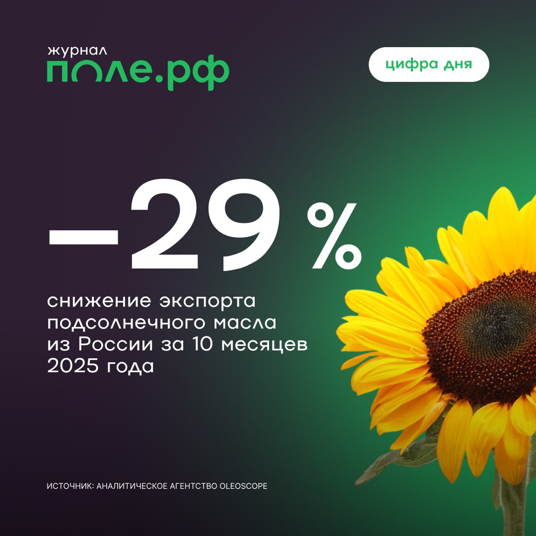 Экспорт растительных масел снизился на 21 в январе октябре 2025 года а подсолнечного на 29 За 10 месяцев поставки составили 5 2 и 345 млн тонн соответственно Как сообщили в аналитическом агентстве OleoScope Иран вышел в лидеры среди импортеров российского подсолнечного масла но когда у страны начались проблемы с доступом к льготному курсу доллара закупки приостановились В свою очередь Индия и Турция заняли выжидательную позицию на фоне увеличения прогноза урожая подсолнечника в России со стороны USDA и европейских аналитиков Участники рынка ожидают что после периода затишья ключевые импортеры российского подсолнечного масла возобновят закупки Подробнее цифрадня pole journal