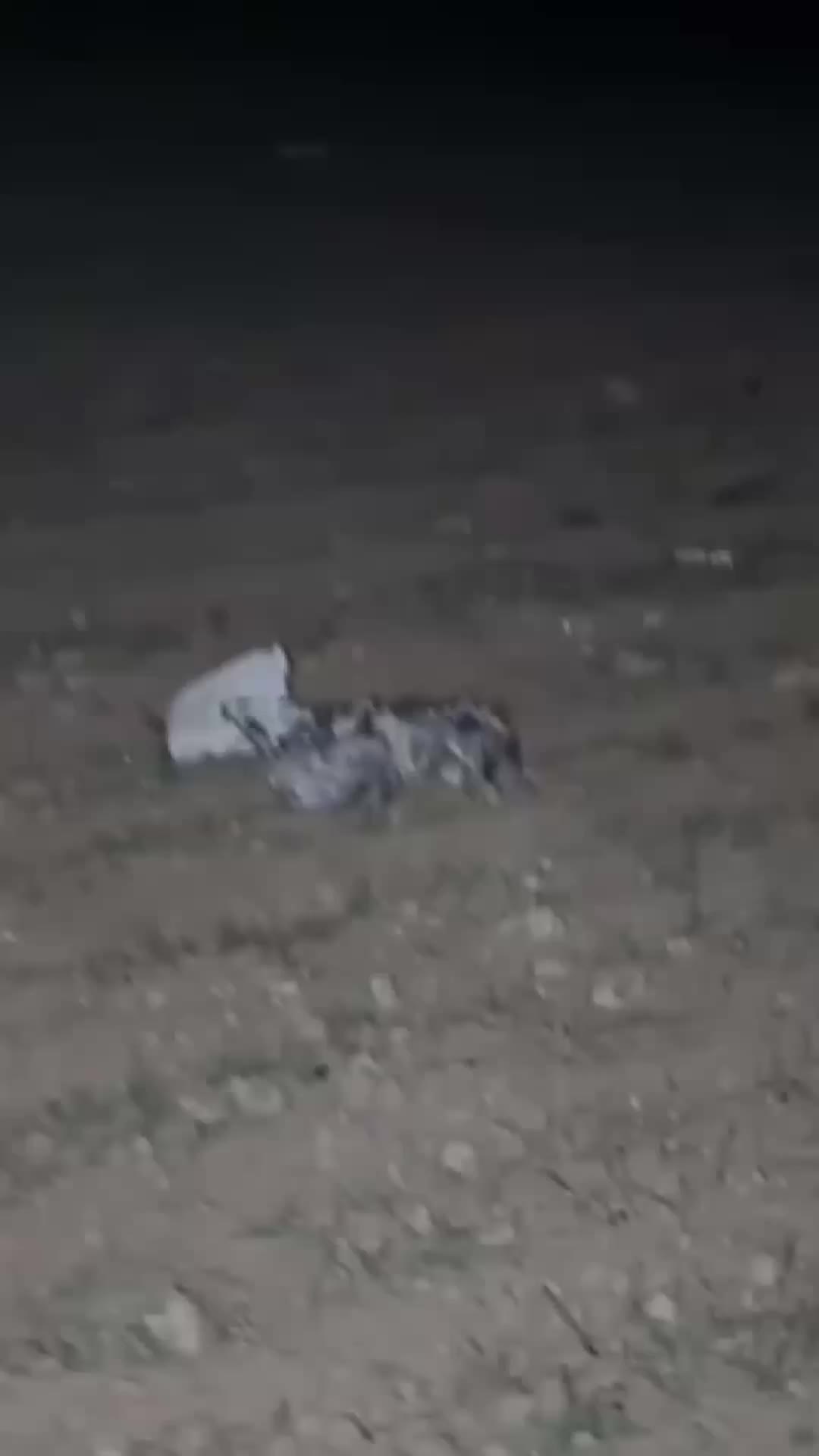 Обнаружены обломки самолета с ливийской делегацией в Турции