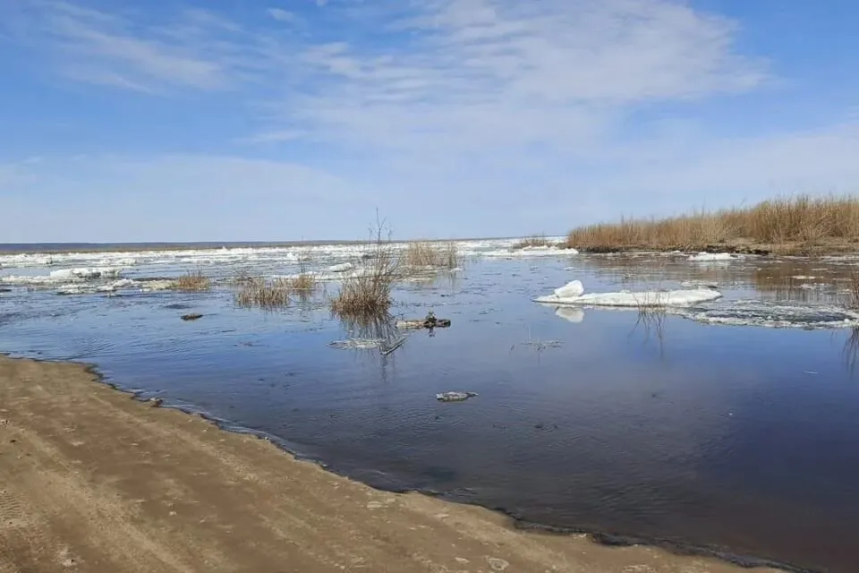В Якутске и пригородах ввели отключения света из за угрозы подтопления Это сделано для предотвращения аварийных ситуаций и обеспечения безопасности на фоне подъема уровня воды сообщили в Якутскэнерго В Якутске превентивно отключены три комплектные трансформаторные подстанции на участке линии Водозабор 2 а также девять комплектных и столбовых подстанций по воздушной линии 6 кВ Даркылахская 2 В Жатае ограничения затронули две абонентские подстанции в районе дамбы в микрорайоне Кангалассы одну Энергетики работают в режиме повышенной готовности Во время паводка ведется постоянный мониторинг объектов находящихся в зоне риска отметили в Якутскэнерго При обнаружении электроустановок в зоне подтопления обрыва или провисания проводов искрения повреждения опор или изоляторов а также незакрытых или поврежденных дверей подстанций и электрощитов необходимо сообщить в контакт центр Якутскэнерго по телефону 8 800 100 22 05 дежурному диспетчеру Центрального РЭС по телефонам 005 4112 21 55 68 в Единую дежурно диспетчерскую службу Якутска по телефону 44 45 64 Напомним по состоянию на девять утра 18 мая по всей территории Якутска идет густой ледоход Лед стоит в протоках возле сёл Хатассы Пригородный и Тулагино Критический уровень воды превышен в Кангалассах на 29 сантиметров Все новости Яестьновость Обсудить Читайте нас в MAX