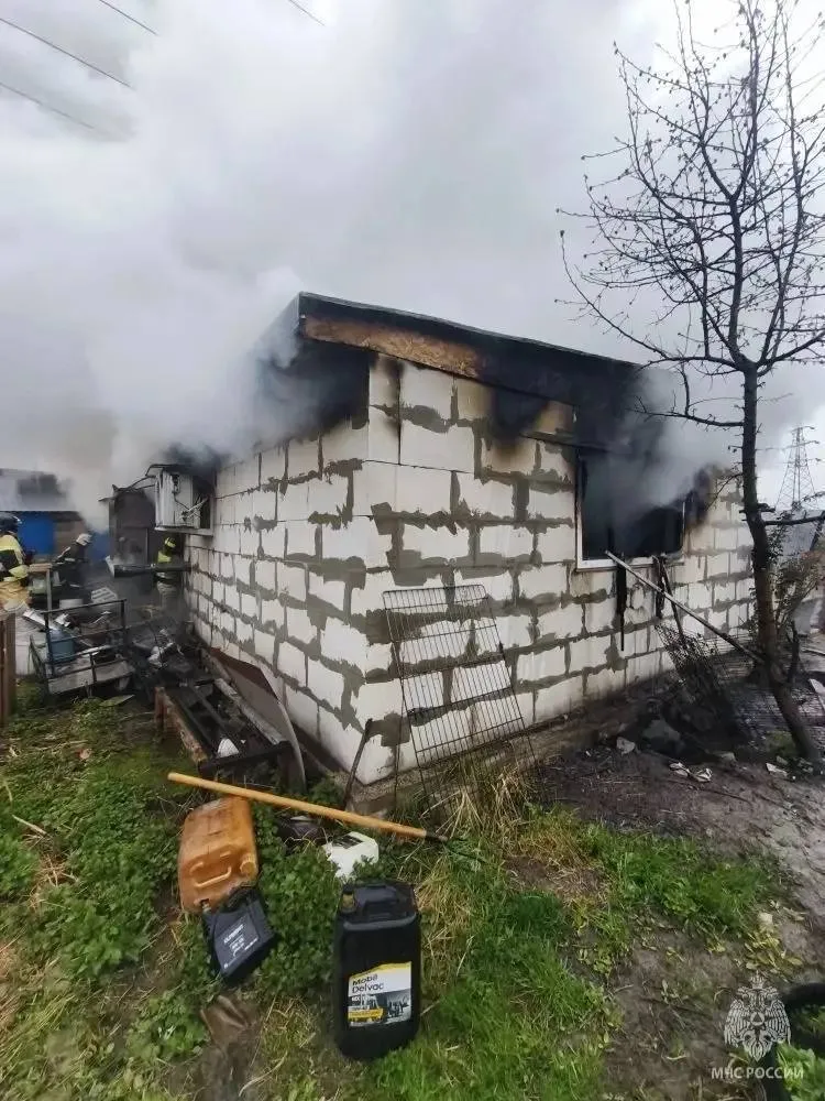 200 щенков сгорели из за старой печки В Нижегородской области пожар уничтожил часть помещения где жили щенки шпицев бульдогов и чихуа хуа По словам хозяйки угли вылетели из старой печки без заслонки после чего загорелся пол Собаки были заперты внутри и не смогли выбраться Женщина разводила животных на продажу погибло около 200 щенков жалко малышей НМШ