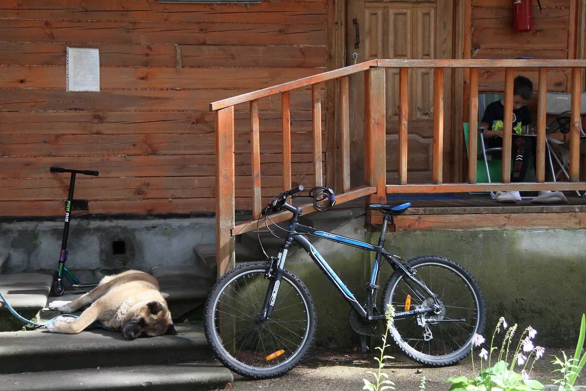 Самарский областной суд поддержал решение о возвращении пионерлагеря Чайка в госсобственность Самарский областной суд оставил в силе решение первой инстанции об истребовании из незаконного владения земельного участка и имущественного комплекса пионерского лагеря Чайка в границах рекреационной зоны р Волга в Тольятти Об этом сообщает прокуратура Самарской области Речь идет о земельном участке площадью 4 6 га и расположенном на нем муниципальном имущественном комплексе Пионерский лагерь Чайка В период с 2012 по 2023 год в результате процедур приватизации имущества и путем заключения незаконных сделок с физическими лицами объект выбыл из собственности государства Прокуратура обратилась в суд с требованием истребовать в пользу Российской Федерации из незаконного владения участок в рекреационной зоне и признать недействительными договоры купли продажи имущественного комплекса лагеря Центральный районный суд удовлетворил требования прокуратуры в июне этого года kommersant volga
