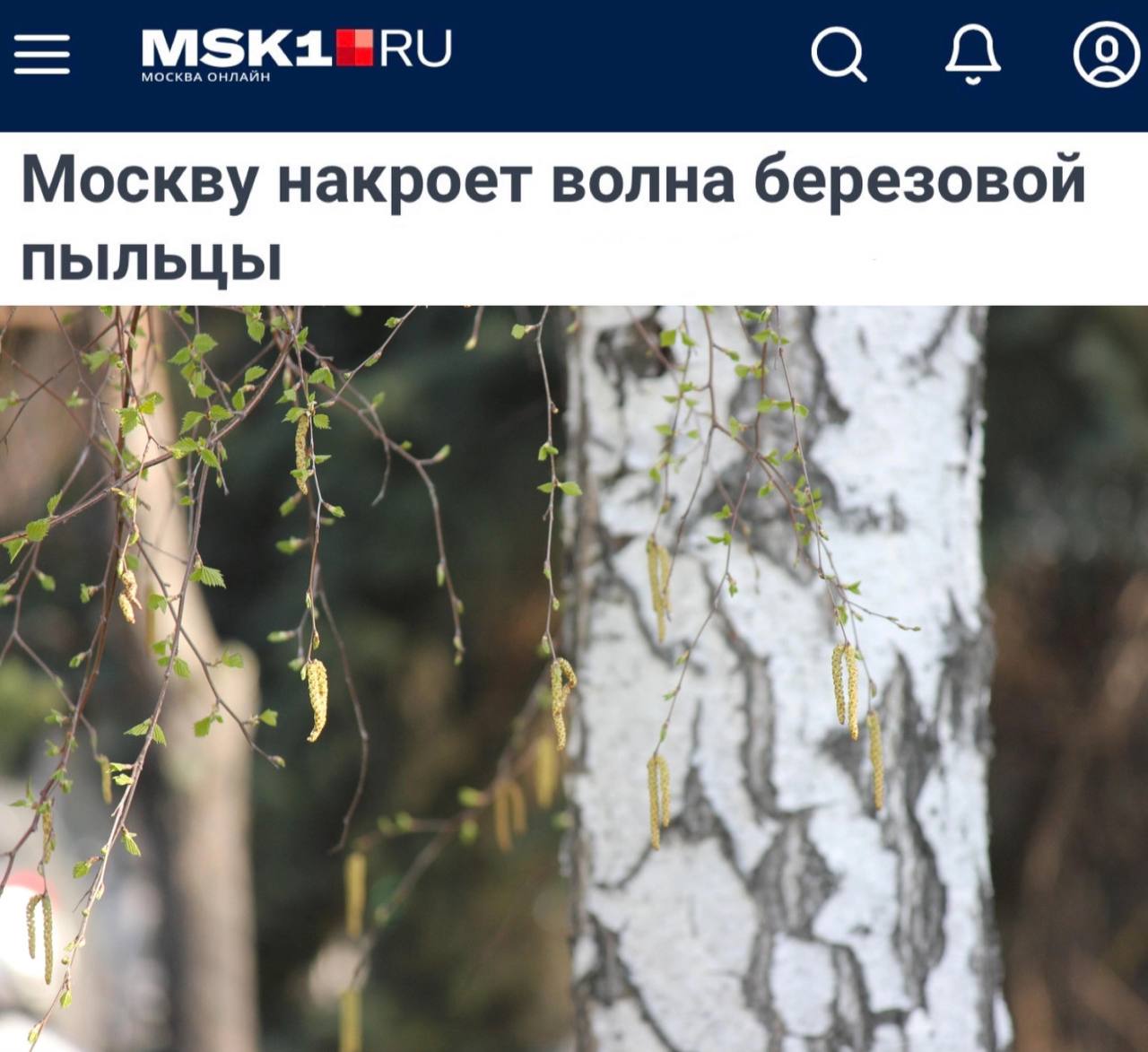 В Москве ожидается усиление пыльцы березы С завтрашнего дня и до следующей субботы в Москве прогнозируется значительное увеличение концентрации пыльцы березы в воздухе. Этот период традиционно совпадает с цветением не только березы, но и других растений, таких как орешник и ольха, что может создать дополнительные трудности для аллергиков. Для облегчения состояния в период повышенной аллергенной активности рекомендуется использование следующих средств защиты: • Маски; • Защитные очки. Эти предметы помогут минимизировать контакт с аллергенами и облегчить пребывание на улице во время пыльцевого шторма.