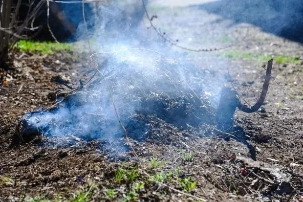На юге Волгограда потушили крупный ландшафтный пожар В Красноармейском районе областного центра вечером в субботу 2 мая произошло возгорание растительности По сообщениям очевидцев огонь охватил значительную площадь зарослей камыша вдоль железнодорожных путей Как рассказали зоозащитники Птичьего острова в огне оказались птицы и другие животные в том числе занесенные в Красную книгу Кто то в разгар сезона гнездования сезона птенцов и детенышей поджег камыш написали волонтеры в соцсетях Приехали пожарные они пытаются это остановить Но счет идет на секунды Как уточнили в ГУ МЧС России по Волгоградской области сообщение о возгорании камыша поступило на пульт диспетчера в 18 06 подразделения 6 й пожарно спасательной части ликвидировали горение в 20 14 Площадь пожара составила 5 гектаров его причина устанавливается Волгоградская правда в Max   max ru vpravda ru