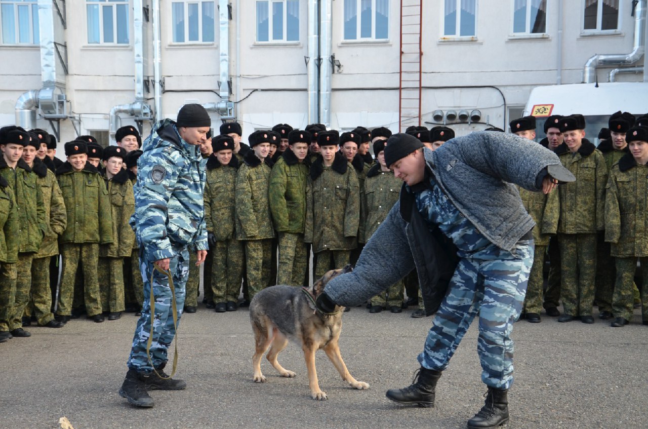 Профориентация для кадет  Новороссийские кадеты узнали много нового об учебе в Краснодарском университете МВД России, познакомились с правилами поступления в вуз.  Заместитель начальника отдела воспитательной работы Управления по работе с личным составом университета майор полиции Владимир Марченко рассказал юным казакам об имеющихся специальностях и приеме на обучение. Кадеты посмотрели фильм о деятельности Краснодарского университета МВД России и получили буклеты с информацией о вузе.  Перед молодежью также выступил заместитель начальника Управления МВД России по городу Новороссийску — начальник отдела по работе с личным составом полковник полиции Павел Сыромятников. Он рассказал о своей профессии, порядке поступления в университет по прямому и целевому набору.  Кроме того, курсанты факультета подготовки сотрудников для подразделений экономической безопасности и экспертно-криминалистических подразделений полиции провели для кадет мастер-класс по основам криминалистики.  Кинологи УМВД России по городу Новороссийску организовали для молодежи показательные выступления. Сотрудники Госавтоинспекции напомнили юным казакам о необходимости строгого соблюдения правил дорожного движения и тоже провели мастер-класс.