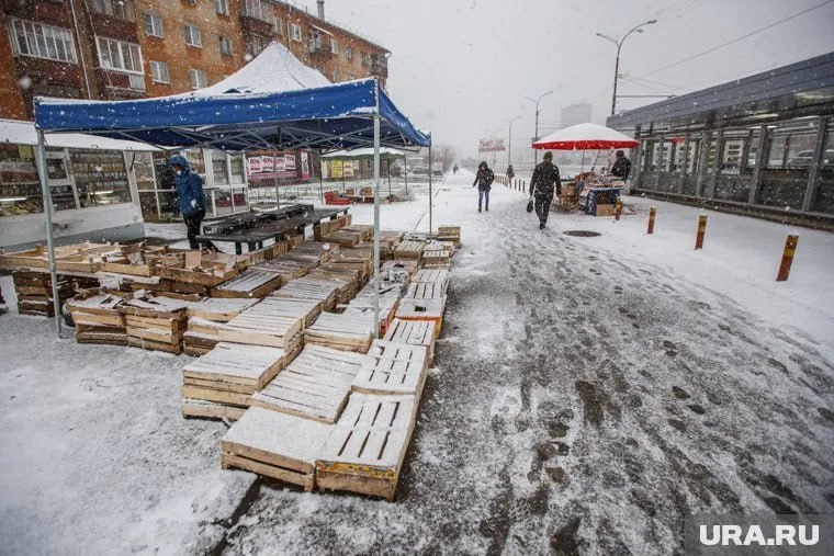 В 2024 году тюменские власти «стрясли» со стихийных торговцев на улицах города меньше денег   За этот период было назначено штрафов за несанкционированную торговлю опасными продуктами на сумму 3,8 миллиона рублей. В свою очередь в 2023 году данный показатель составлял пять миллионов рублей.  Все товары у тюменцев изъяли. Их общий вес превысил 13 тонн, из которых 1 186 килограмм рыбы и 12 835 килограмм овощей и фруктов.  А вы покупаете продукты у стихийных торговцев в Тюмени?