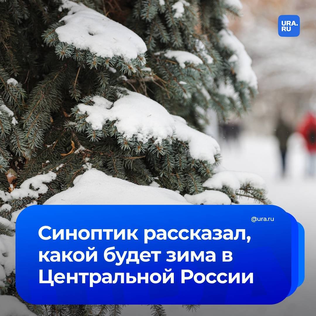 Зима в Центральной России ожидается относительно мягкой и снежной, сообщил ведущий специалист центра погоды «Фобос» Евгений Тишковец.   По его словам, весь ноябрь будет теплым. А самый холодный сезон в году наступит лишь в декабре, прогнозирует синоптик.