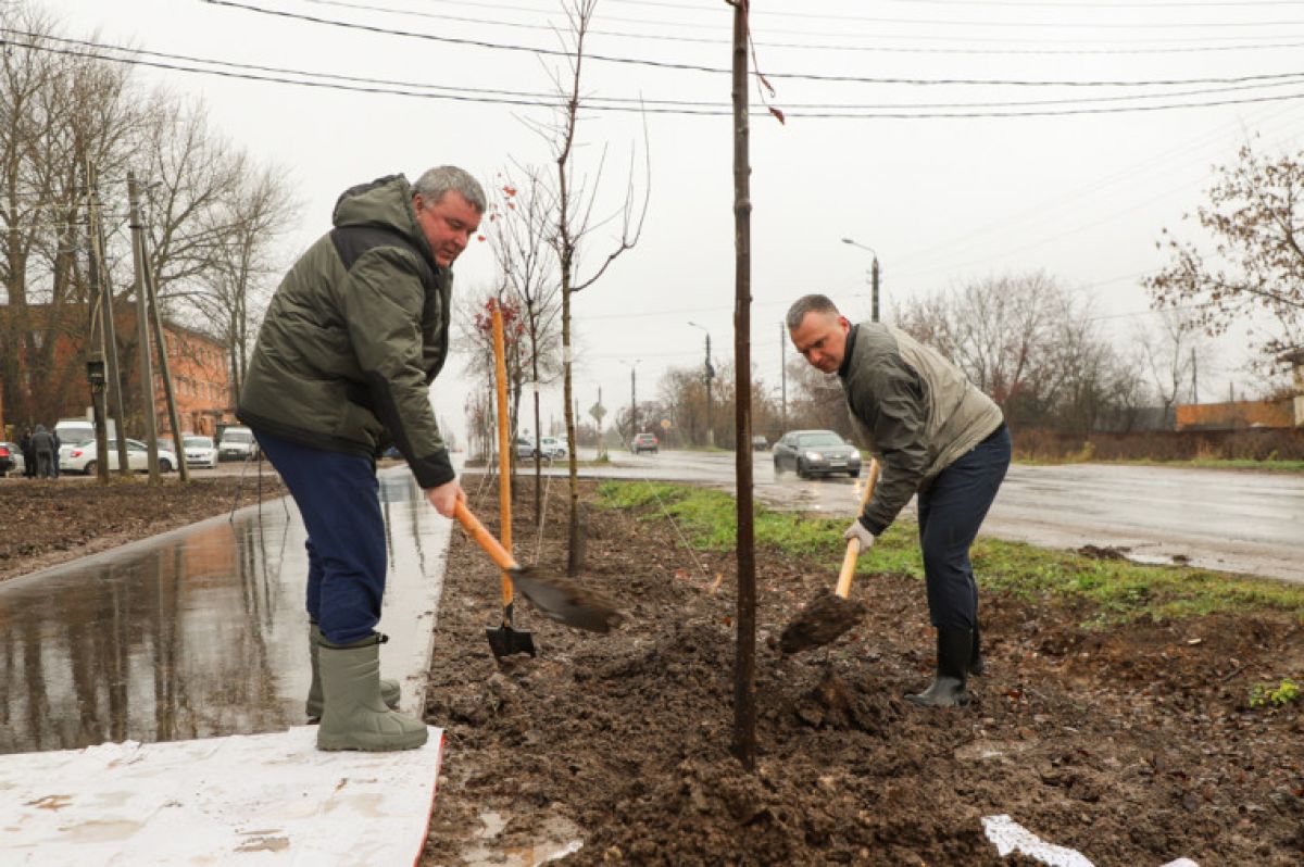 Илья Беспалов Вдоль веломаршрута Лев Толстой в этом году высадим более 180 деревьев   newstula ru fn 1752985 html Сегодня 12 ноября глава городской администрации принял участие в посадке кленов на ул Шоссейной По инициативе главы администрации Тулы Ильи Беспалова в рамках проекта веломаршрута Лев Толстой активно ведется озеленение   Прислать новость Подписаться