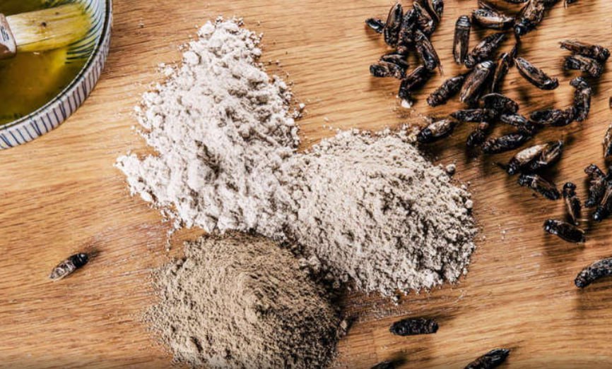 Твёрдо и чётко россияне не ели и никогда не будут есть насекомых Об этом ТАСС ответственно заявила зампред комитета Госдумы по аграрным вопросам Юлия Оглоблина По ее словам в России никто не будет питаться жучками несмотря на исследования о возможности такого альтернативного источника белка Это исключительно для кормов рыб и животных добавила она А вот Европе не позавидуешь Там так плохо что надо уже и сверчков и жучков и паучков есть У нас слава Богу все хорошо Земель много Поэтому мы только за настоящую нашу русскую еду В 2023 году в России разрешили разводить мух черная львинка и делать из них муку Правда подчеркивалось что добавлять такую муку в состав пищевых продуктов для людей никто не будет А весной в Союзе пекарей спрогнозировали появление продуктов из муки насекомых в течение 3 5 лет