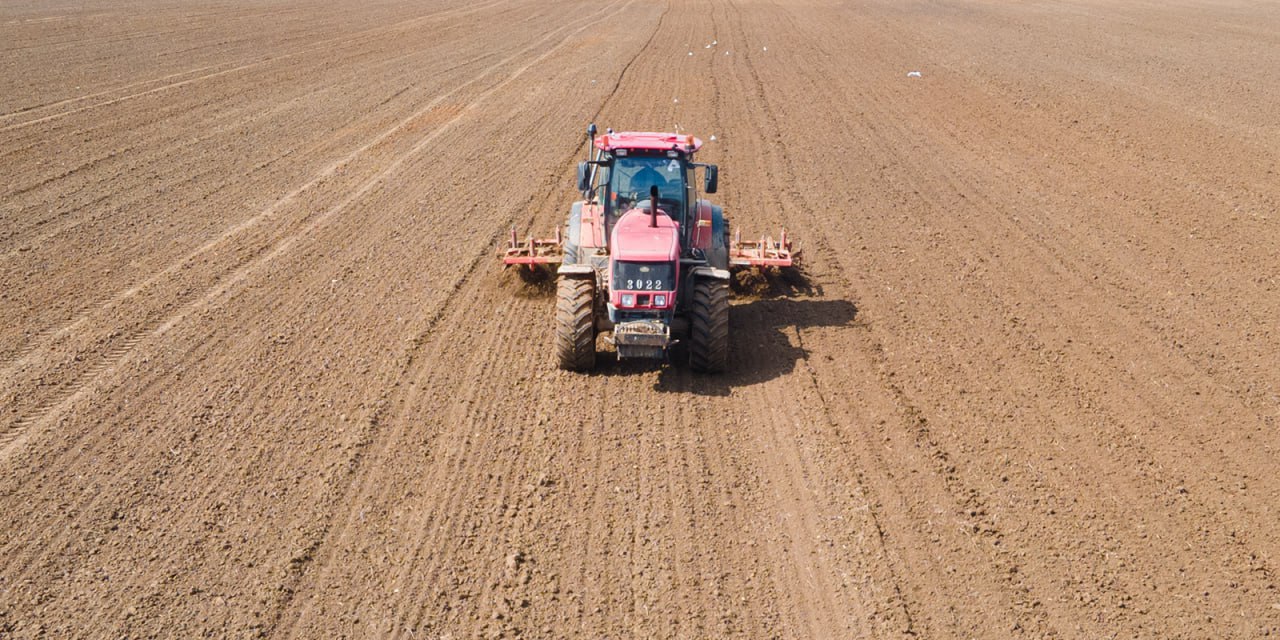 Озимый сев в Ивановской области проведен на площади более 21 тыс гектаров Сев озимых культур под урожай 2026 года в этом году проведен на площади 21 3 тыс га Основные площади под озимой пшеницей Так засеяно 17 1 тыс га озимой пшеницей 2 7 тыс га озимым рапсом 1 4 тыс га озимой рожью и 0 1 тыс га озимой тритикале В департаменте сельского хозяйства и продовольствия Ивановской области отметили что озимый сев один из факторов хорошего будущего урожая за счет характерной ему высокой урожайности зерна Наибольшая площадь озимого сева отмечается в Гаврилово Посадском 6 4 тыс га Родниковском 3 3 тыс га Шуйском 2 7 тыс га Кинешемском и Приволжском по 2 1 тыс га районах Лидерами озимого сева стали предприятия Растениеводческое хозяйство Родина 2 1 тыс га ГрейнРус Агро 1 8 тыс га Приволжская Нива 1 7 тыс га Племенной завод имени Дзержинского 1 3 тыс га Рассвет и Славянка по 0 8 тыс га