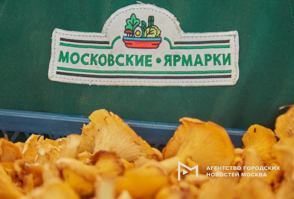 Свежие лесные грибы появились на московских ярмарках Лисички шампиньоны маслята опята подосиновики подберезовики и белые грибы привозят из лесов Воронежской Курской Рязанской областей и других регионов Подпишись на Агентство Москва