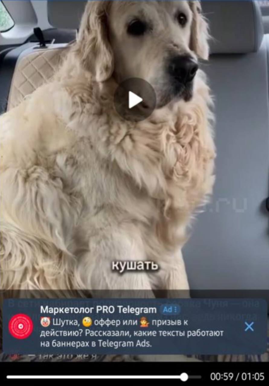 В Telegram добавят рекламу при просмотре видео, сообщают инсайдеры. Объявления появятся через 5 секунд после запуска ролика и будут показываться 9 секунд без возможности скрыть. Баннер автоматически исчезнет через 30 секунд или раньше при действии пользователя. Новые окошки Telegram Ads могут вести на сайт, в канал, в бота или в личный профиль. Обладатели премиума — выдыхаем: для вас рекламу показывать не будут