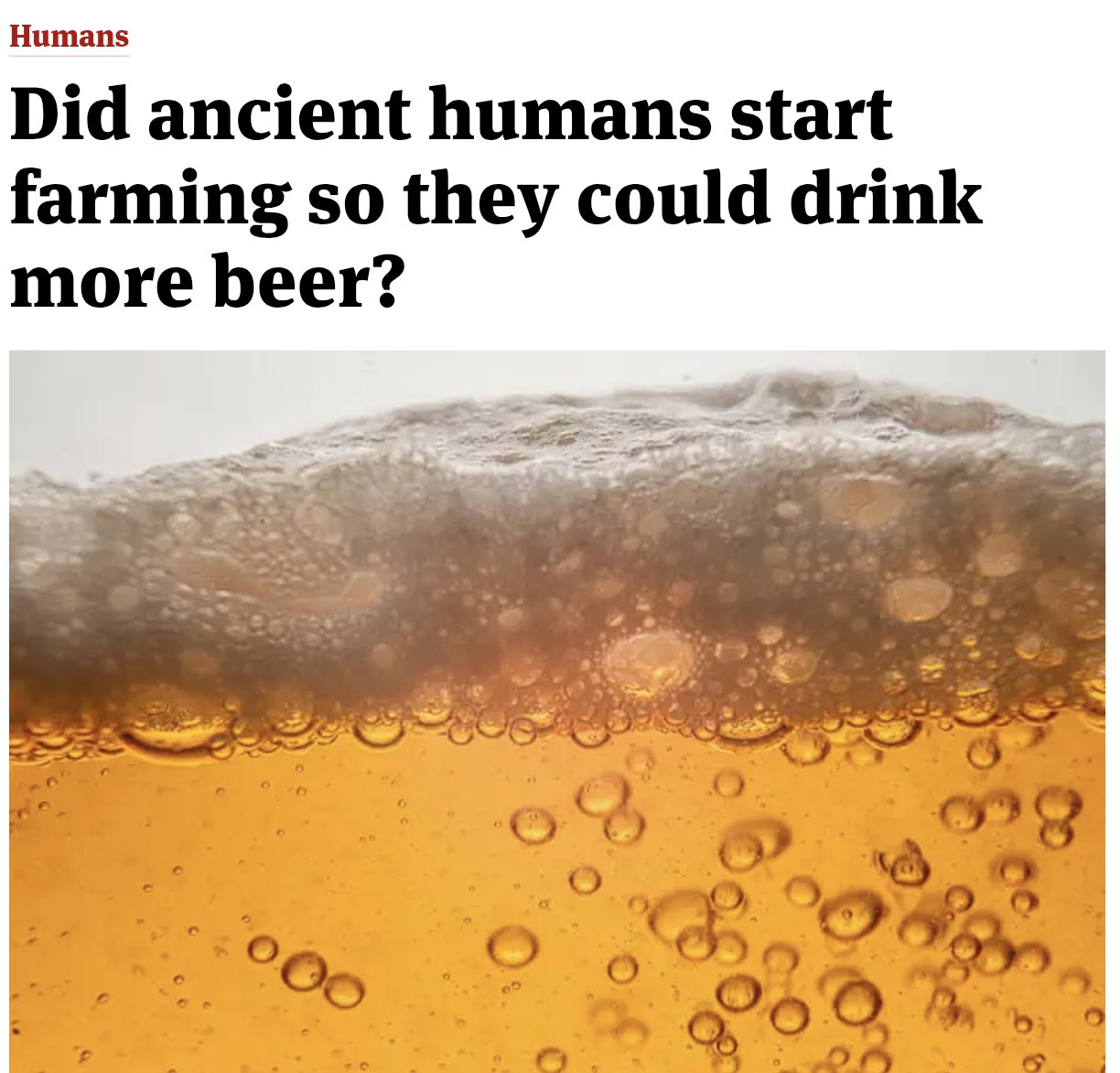 Люди эволюционировали ради пива считают учёные Новые данные указывают что человечество перешло к оседлому образу жизни ради пива Древнейшие следы брожения нашли в Израиле их возраст около 10 тысяч лет до нашей эры Оказывается люди начали варить пиво ещё до фермерства что и подтолкнуло людей выращивать злаки Прямой эфир Наш MAX