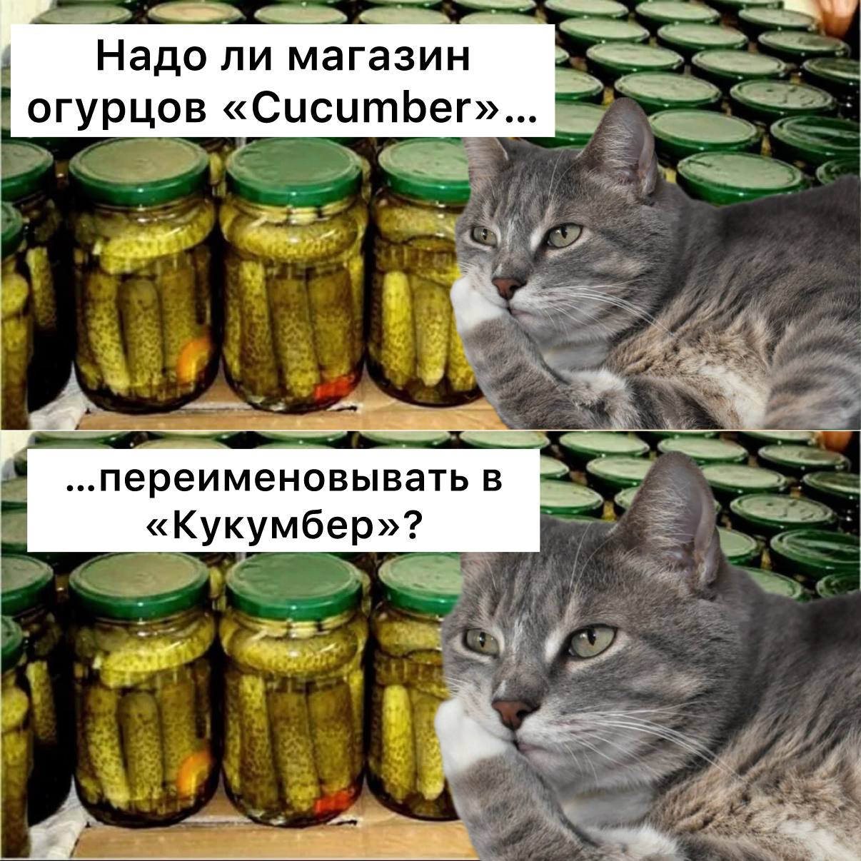 С марта 2026 года все надписи на табличках должны быть на русском языке В силу вступает закон о защите русского языка в публичном пространстве в России Надписи наподобие открыто закрыто вход выход тоже должны обязательно иметь русский языковой эквивалент Подписаться Прислать новость