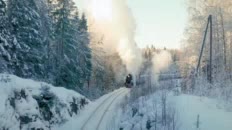 Новогодние мероприятия в России: Детская железная дорога запускает экспресс, а Владивосток украшает автобусы