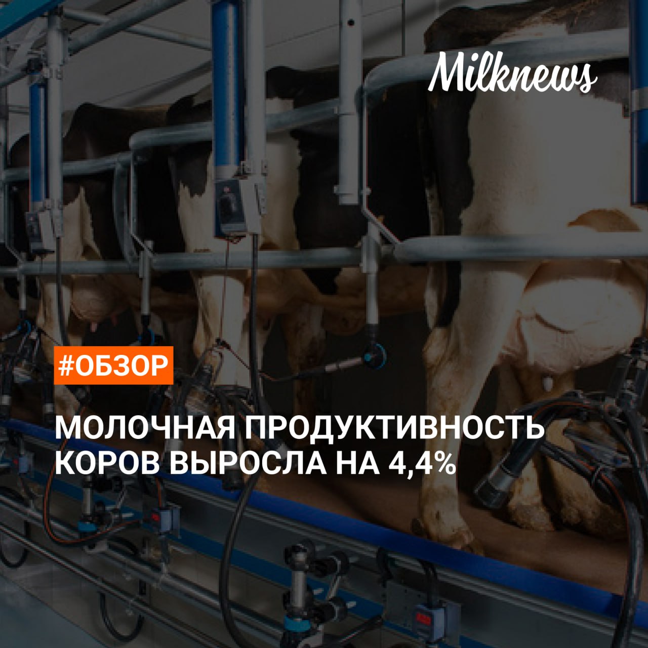 Надои молока на одну корову в СХО выросли в среднем до 3949 кг в январе-мае 2025 года по сравнению с аналогичным периодом 2024 года. Наибольший прирост продуктивности отмечен в следующих регионах: Чувашская Республика +683 кг Пензенская область +494 кг Тверская область +653 кг Иркутская область +547 кг Тамбовская область +488 кг Ульяновская область +401 кг Поголовье коров в хозяйствах всех категорий к началу июня 2025 года по прежнему оставалось ниже уровня начала июня 2024 года на 3,4% и составило 7,31 млн голов. В СХО поголовье снизилось за год на 2,4% - до 3 млн голов. «Наращивание молочной продуктивности коров – долгосрочный тренд, характерный для молочного скотоводства. Это происходит благодаря улучшению рационов животных, условий содержания, работой над воспроизводством и оптимизацией структуры стада. Вместе с тем наблюдаемое снижение цен на сырое молоко в условиях высокой себестоимости его производства будет ограничивать потенциал дальнейшего наращивания продуктивности коров», — прокомментировал директор аналитического департамента Союзмолоко Алексей Воронин. Подробнее