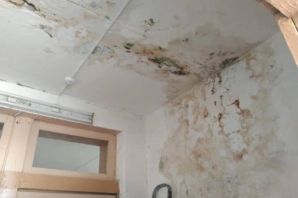 В селе Богдановка школа разваливается — крыша течёт, стены с грибком Жители села Богдановка Краснокаменского района в шоке от состояния единственной школы. «На втором этаже всё течёт, сыпется штукатурка, грибок, запах ужасный. Скоро учебный год, а ремонта нет», – рассказывают родители. Они обратились в прокуратуру, та пообещала добиться ремонта через суд. Но времени остаётся всё меньше. В школе также работает группа для детей от 3 до 7 лет — родители малышей не менее обеспокоены. Редакция ZAB.RU направила официальный запрос в Минобразования края. Ждём реакции. ZAB.RU