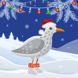 Приморье не спит